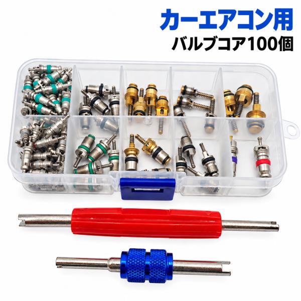 バルブコアキット カーエアコン バルブコア 100個 R134a R12 サービスポート 虫交換 エアバルブコア 取り外し工具付き 収納ケース付き