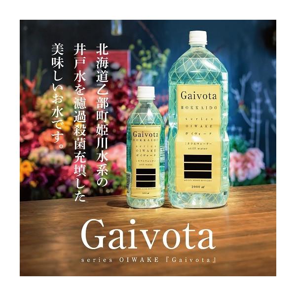 Gaivota 2L 1箱 6本入 天然 シリカ水 ミネラルウォーター 美容 ミネラル シリカ ガイヴォ―タ 天然水 軟水