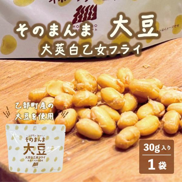そのまんま大豆 大莢白乙女フライ オホーツクの塩味 北海道産 乙部町産 大豆 大莢白乙女 大豆フライ スナック菓子 国産 そのまんまシリーズ 野菜 お菓子