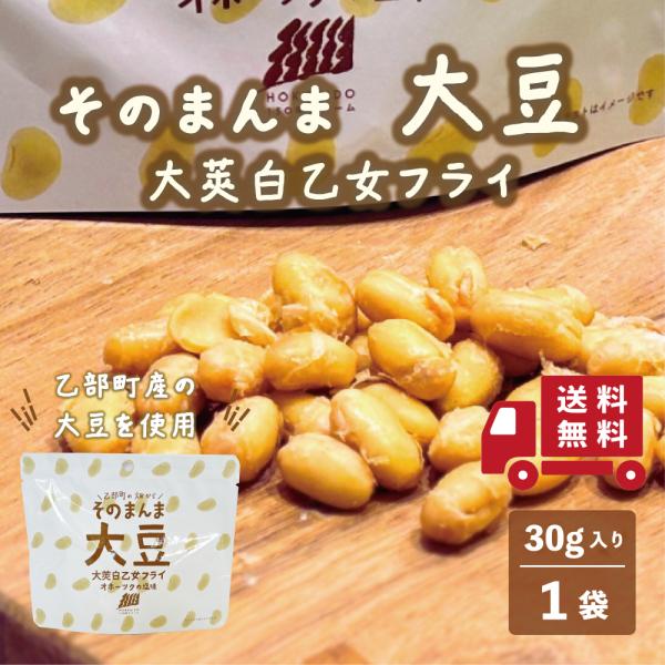 【送料込み】そのまんま大豆 大莢白乙女フライ オホーツクの塩味 1個 北海道産 乙部町産 大豆 大莢白乙女 スナック菓子 国産 そのまんまシリーズ 野菜 お菓子