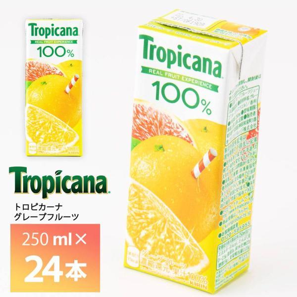 トロピカーナ Tropicana 紙パック ジュース 果汁100% トロピカーナ キリンビバレッジ 100% グレープフルーツ 250ml×24本