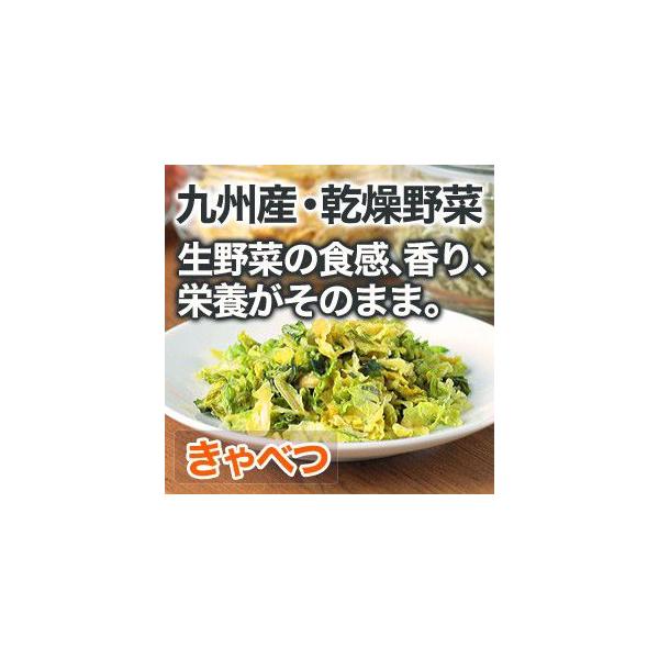 乾燥野菜 キャベツ 1袋28g 生野菜310g相当 九州産野菜 安心安全国産 長期保存が可能なエアドライ 非常食 保存食 備蓄食 Buyee Buyee Japanese Proxy Service Buy From Japan Bot Online