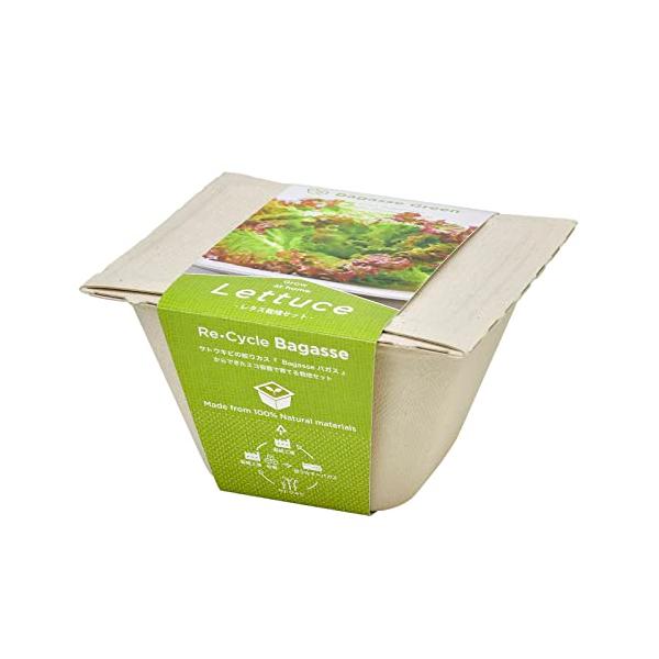 レタス・グリーン 12.3cm GD-95303・・Style:レタス・商品サイズ:約12.3×12.3×7.4cm・セット内容:種 土 容器 インナーポット 説明書・サトウキビの絞りカス「バガス」からできたエコ容器で野菜を育てる栽培セット...