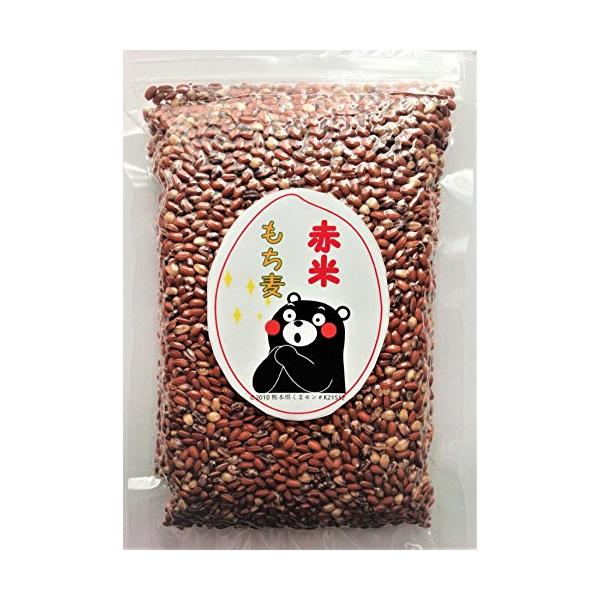 もち麦 赤米 W ブレンド 熊本県産 500g 食物繊維 βグルカン ポリフェノール 真空パック 鮮度