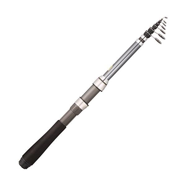 シマノ(SHIMANO) スピニング/ベイト兼用 ロッド 17 ホリデーパック