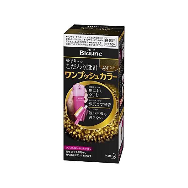 ブローネ ワンプッシュカラー 4N ナチュラリーB [医薬部外品] 1個 (x 1)