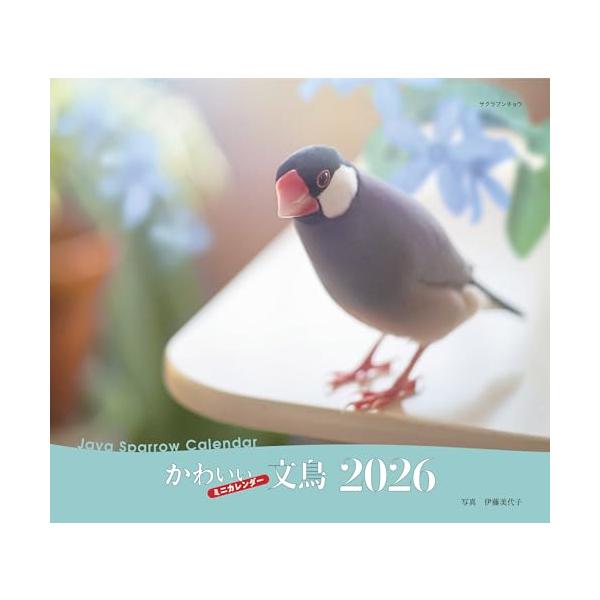 -------------------------------------------------  文鳥の月めくりミニ判カレンダー。 撮影は文鳥に精通した伊藤美代子氏。  【カレンダーの特徴】 ●壁掛けタイプ ●月めくりカレンダー ●六曜...