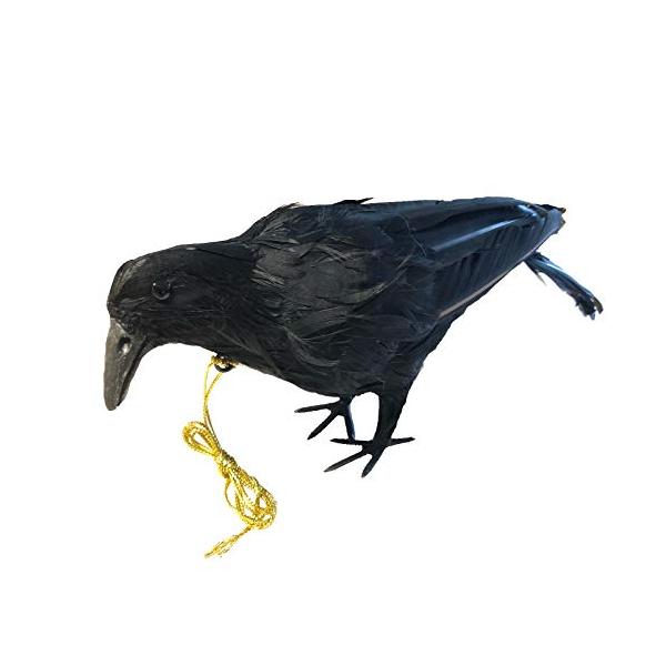 ONESORA カラスよけ 本物そっくり リアル羽毛カラス ぶら下げて吊るすだけ カラス撃退 簡単設置 鳥の鳴き声 フン害 巣作り被害 防止対策 ゴ