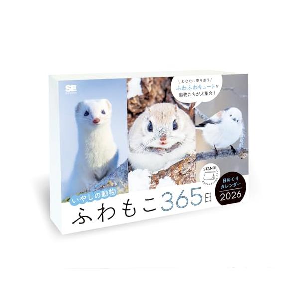 ふわもこ365日いやしの動物 日めくりカレンダー 2026／ 卓上 ミニサイズ ［かわいいシマエナガ、うさぎ、秋田犬など］