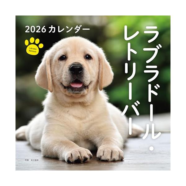 -------------------------------------------------  ラブラドール・レトリーバーの月めくり大判カレンダー。 撮影はいきいきとした表情の動物写真に定評のある井川俊彦氏。  【カレンダーの特徴】 ...