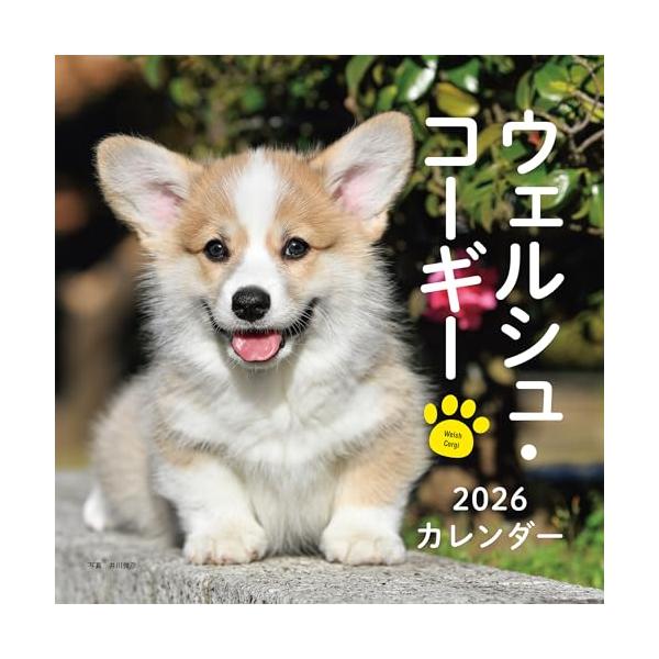 -------------------------------------------------  コーギーの月めくり大判カレンダー。 撮影はいきいきとした表情の動物写真に定評のある井川俊彦氏。  【カレンダーの特徴】 ●壁掛けタイプ ●...