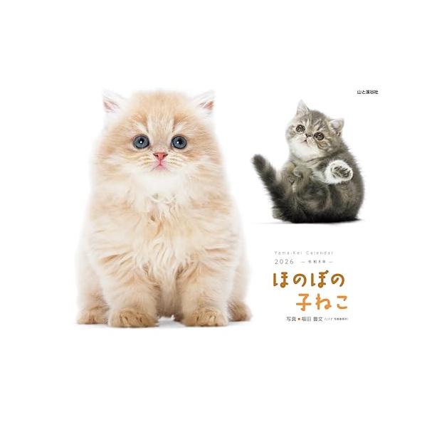 大人気！壁掛け、ねこカレンダーの超定番カレンダー。 毎月愛らしい子ねこがたくさん登場！  子ねこの自然なかわいさ、愛らしい表情が満載の壁掛けカレンダー2026年版です。 飛んだり跳ねたり寝転んだり・愛らしい子ねこたちが毎月登場！  巻末には...