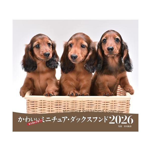 -------------------------------------------------  ミニチュア・ダックスフンドの月めくりミニ判カレンダー。 撮影はいきいきとした表情の動物写真に定評のある井川俊彦氏。  【カレンダーの特徴】...