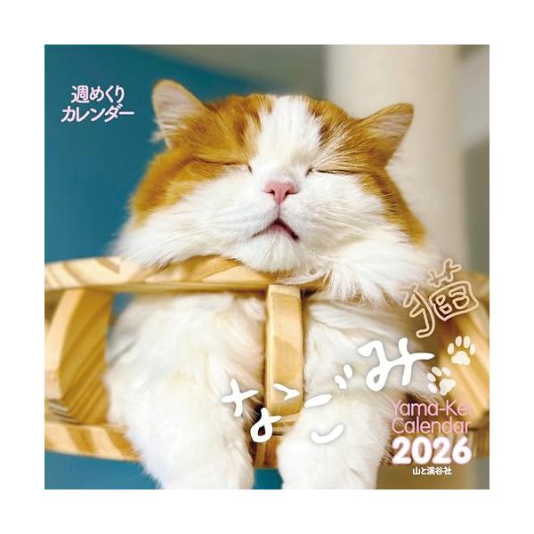 ゆるくて、たまらないネコがいっぱい！ 可愛いねこ達の日常がぎっしりつまった 癒しの週めくり猫、卓上カレンダー2026年版。  思わず笑ってしまうポーズ、見ているだけで癒やされる幸せな表情…… 「縁側でひなたぼっこしている幸せそうな顔」 「思...