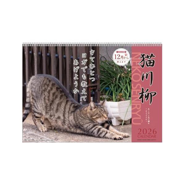 マルチカラー/-/1000136868・パッケージ個数:1・2006年の戌年よりスタートした川柳シリーズは皆様に愛されて20周年を迎えます。・サイズ：257×364ｍｍ・14枚つづり・リング仕様