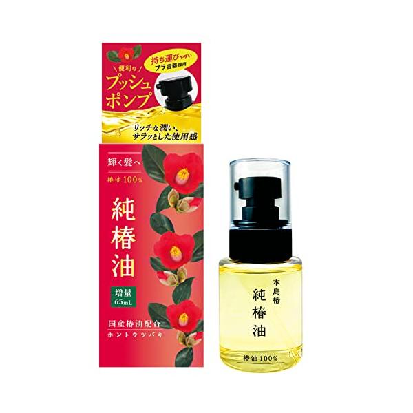 他サイト： 本島椿 純椿油プッシュタイプ 62mlの商品画像