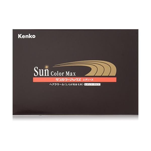 サンカラーマックス ダークブラウン（主に女性用）75gx2本 : 雑貨屋