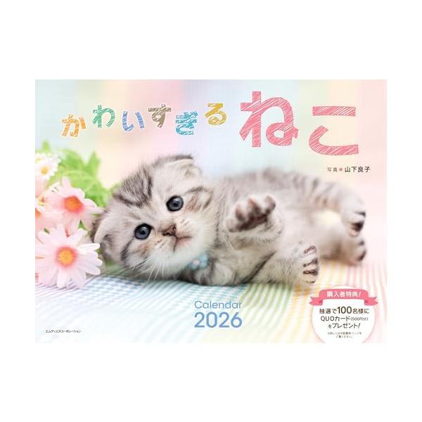 いちばんかわいい！子猫カレンダーの決定版・2026バージョン  ふわふわのちいさな子猫が勢揃い！ アメリカンショートヘアやスコティッシュフォールド、ロシアンブルー、マンチカン、ソマリなど、かわいい子猫の見ているだけで思わず胸がキュンとする、...