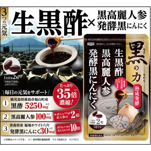 栄養補助食品　にんにく　生黒酢黒高麗人参発酵黒　31日分