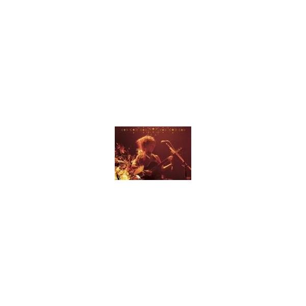 ボニーピンク/TOUR 2005 "Golden Tears"初回 BONNIE PINK 中古邦楽DVD
