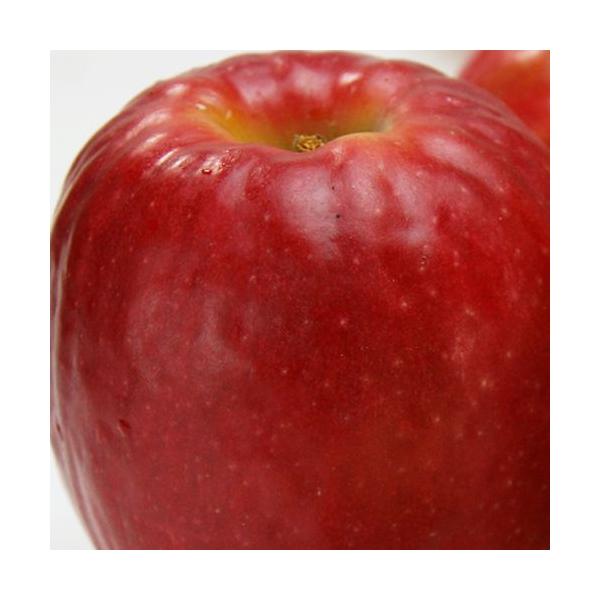 長野県産りんご ピンクレディ リンゴ 約１kg 4 6個 条件付き送料無料 希少なリンゴ Buyee Buyee 日本の通販商品 オークションの代理入札 代理購入