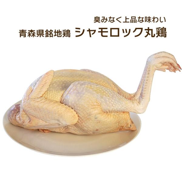 { XVbN VbN ی{ H 1.6`2.5Kg Xn{VbN ①EⓀI Yn