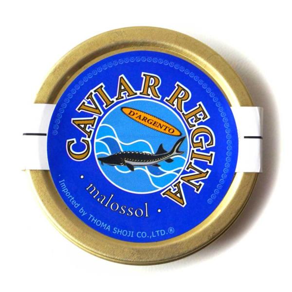 LrA C^AY W[i AWFg 50g ʓ VxA`EU pX`CY ①