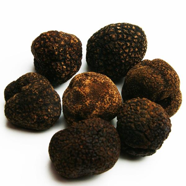 黒トリュフ フレッシュヒマラヤトリュフ 約100g(6~12粒)中国 黒トリュフ フレッシュヒマラヤトリュフ 約100g(6~12粒)中国