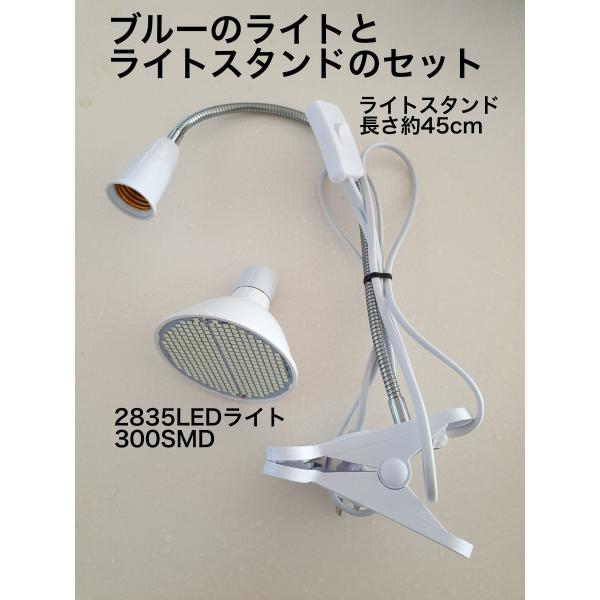レビューキャンペーンをしております。是非ご参加ください。●セット内容ライトスタンドE272835ブルーライト　300SMD※ライトスタンド仕様長さ約45cm（ソケットの先端から金属アームの付け根まで）ソケットサイズE27（E26も使えます）...