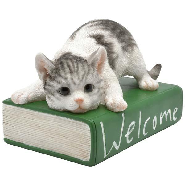 L̒u 64336 lR Lbg u I[ig