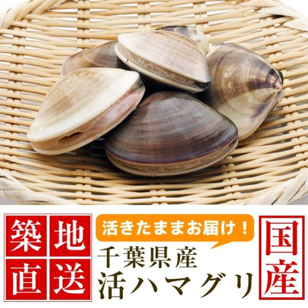 ハマグリお吸い物 みんな探してる人気モノ ハマグリお吸い物 食品