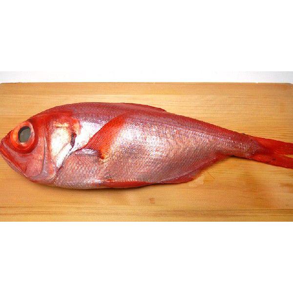 天然 金目鯛 1尾 約1 0 1 2kg 築地市場直送 Sengyo Kinmedai オトナのおつかい屋 通販 Yahoo ショッピング