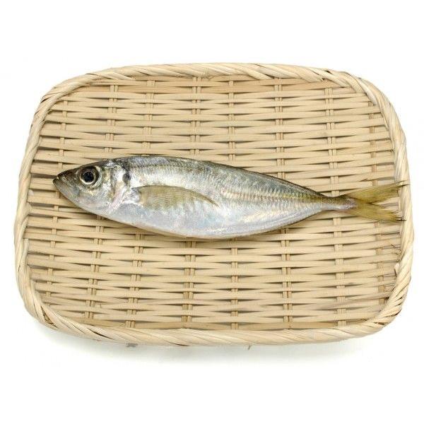 アジ 釣りアジ 約300g 豊洲市場直送 Turi Aji オトナのおつかい屋 通販 Yahoo ショッピング