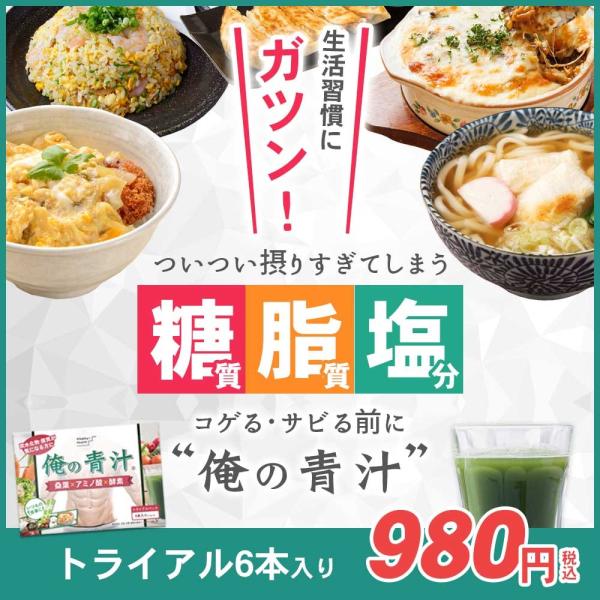 桑の葉青汁 俺の青汁 (6本) 無糖 酵素 :oreno-aojiru-t6:桑の葉青汁専門店-おとなびと - 通販 - Yahoo!ショッピング