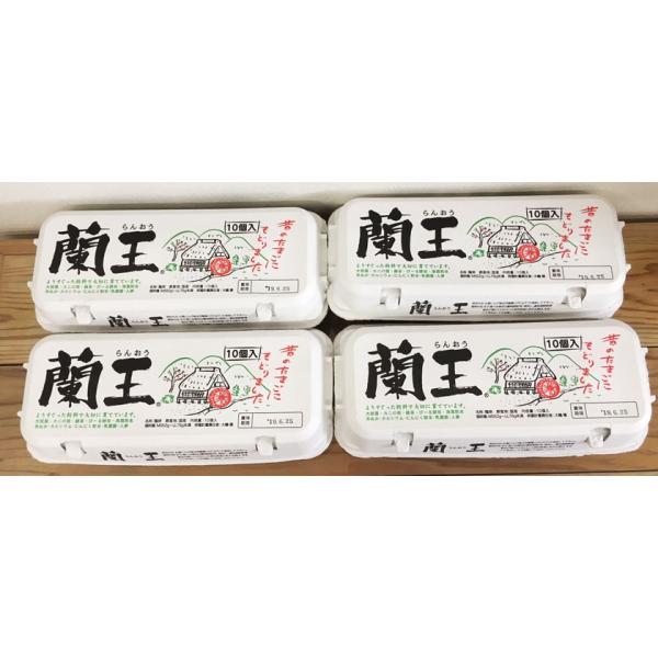 生産者：農事組合法人 協和 杵築農場 生産地：大分県杵築市 商品名：蘭王（らんおう） 黄身の違い（色の元）：色を付ける材料は協和のこだわりとして自然のものを使う。 安心して鶏に与えられる、パプリカ（赤ピーマン）を使用。