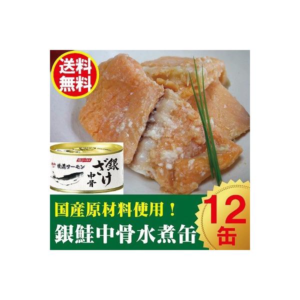 ニッスイ銀鮭中骨缶１２缶 送料無料 Buyee Buyee 提供一站式最全面最專業現地yahoo Japan拍賣代bid代拍代購服務bot Online