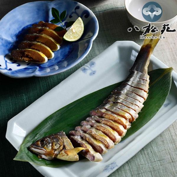 Vፁu̔Ђvi3{j ΐ쌧  ΕMtg