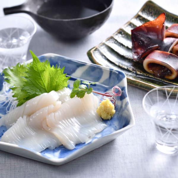 海鮮 イカ 能登小木いか詰合せ 贈り物 スルメイカ 刺身 鉄砲焼き 2種セット ※代引き不可 御歳暮ギフト