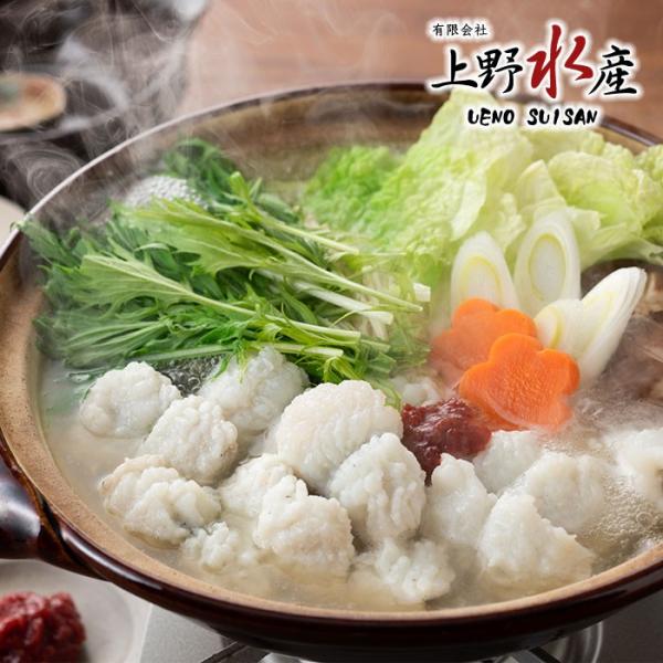 ̂ԂԓZbg i2lOj Zbg ؂g300 Ԃ OITA30CP_2020_ ΕMtg