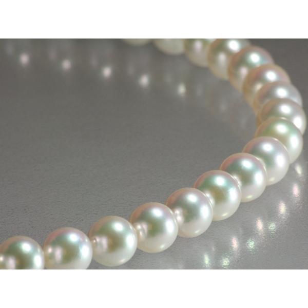 Ԏch2209 Hp[ lbNX 8-8.5mm ^