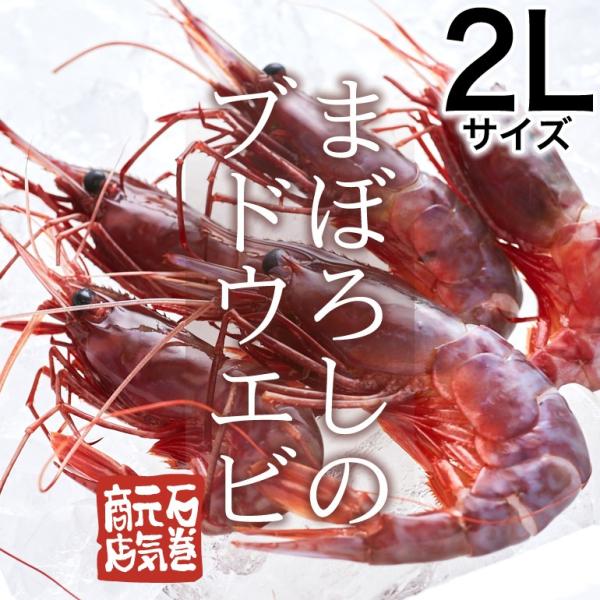 条件付き送料無料 ブドウエビ 2lサイズ 約400g 11 12匹 冷凍 109c02p016 石巻元気商店 通販 Yahoo ショッピング