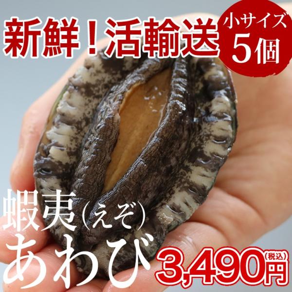 [Release date: May 6, 2024]活エゾアワビをお届けします！生きているから鮮度抜群、コリコリ食感が楽しめます！※アワビは酸素を溶かした海水パックに入れてお届けします。酸素は1日程度持続します。※本商品はヤマト運輸で宮城...