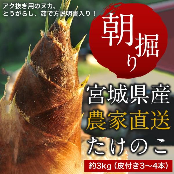 宮城県産 高橋さんの朝掘りたけのこが入荷！僅かな期間だけの旬の味覚です。瑞々しく柔らかい新鮮なたけのこをお楽しみください。高橋さんが発送当日の朝に掘ったものをお届けいたします！商 品 名 ：皮付きたけのこ内　　容：たけのこ（約3kg/3〜4...