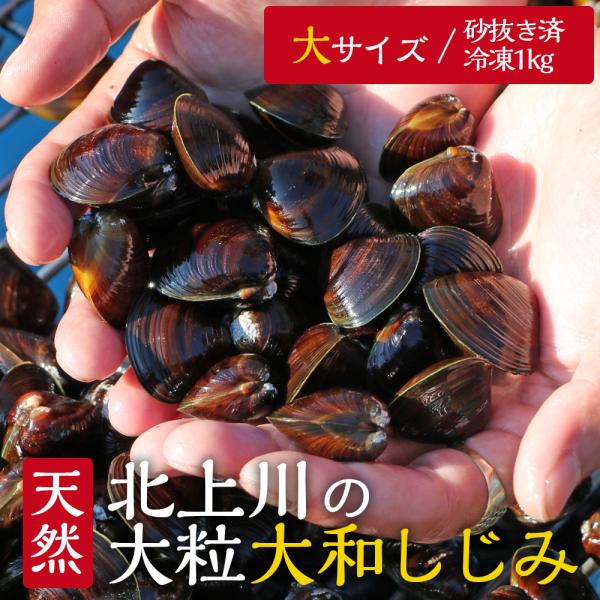 天然 しじみの人気商品 通販 価格比較 価格 Com