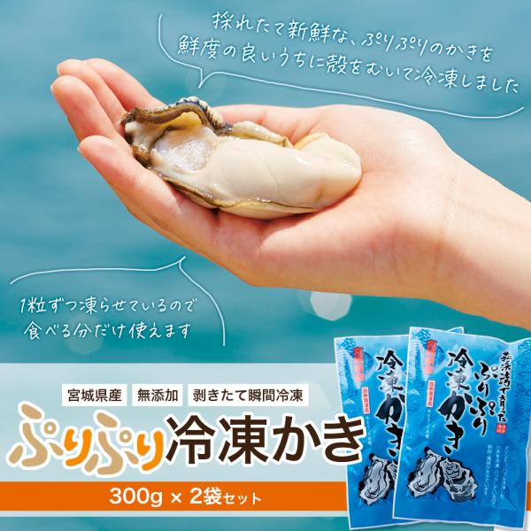 商 品 名 ：ぷりぷり冷凍かき（加熱用）内　　容：300g × 2袋（1袋あたり11粒前後入り※かきの個体サイズにより異なる）産　　地：宮城県産賞味期限：製造より90日ーーーーーーーーーーー同商品に限り、4つまで1送料におまとめしてお届けが...