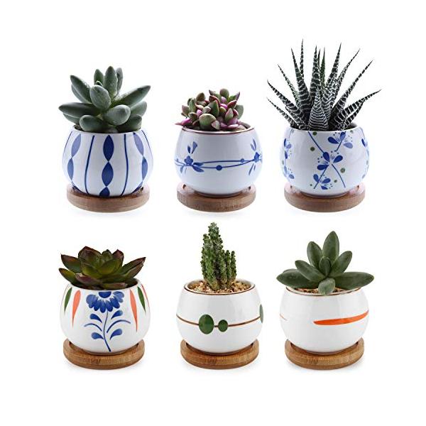 T4u 7cm サボテン 鉢 ミニ 多肉植木鉢 おしゃれ シンプルなデザイン 6個セットの価格と最安値 おすすめ通販を激安で