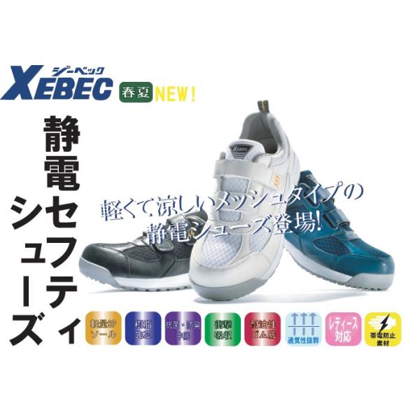 ƌC jp ʋCQ̃bVdlV[Yo yȗSnœT|[g 85112 ÓdZteBV[Y ƕƃJWA̓X I[cJ