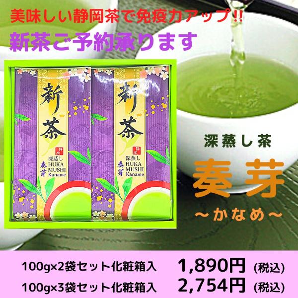新茶 緑茶 深蒸し茶 奏芽 100g×２袋 100g×３袋 日本茶セット 静岡茶ギフト :8-2-3:お茶のおおた 通販  