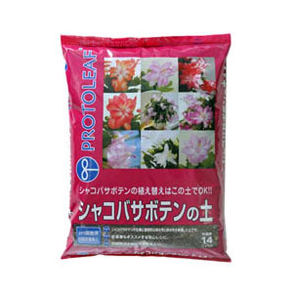 プロトリーフ シャコバサボテンの土