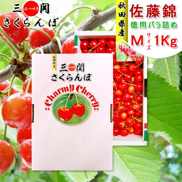 さくらんぼ様 北海道産 さくらんぼ 佐藤錦 1.0kg(Lサイズ)【送料無料】【産地